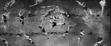 Aerial shot of people swimming in a circle